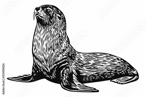 sketch, animal, bird, mammal, hand drawn, vector, dog, head, isolated on white, nature, illustration, drawing, wild animal, wildlife, tail, wings, legs, white, pet, black, beak, art, cute, pigeon, wil