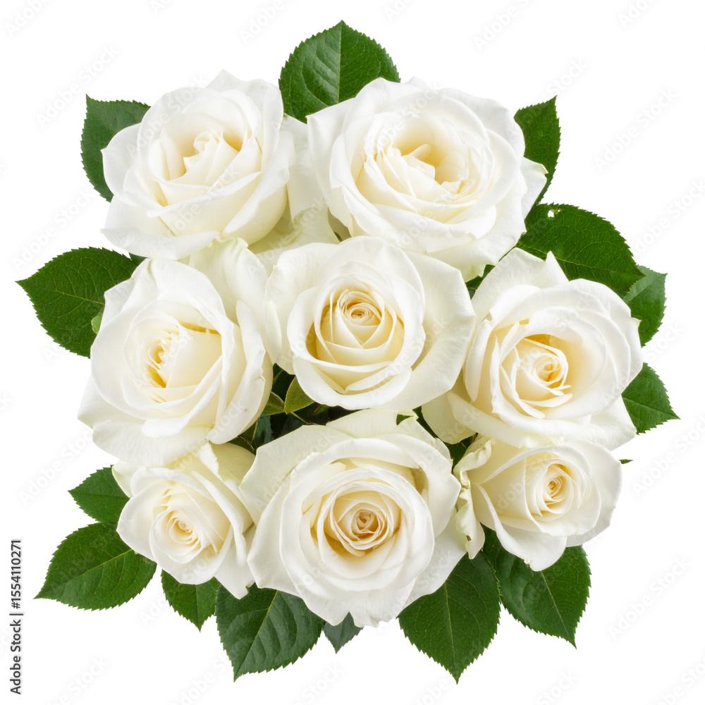 Pure White Roses Floral Arrangement – PNG Cutout for Decor Use Pure White Roses Floral Arrangement – PNG Cutout for Decor Use