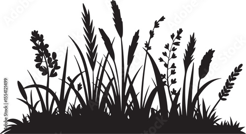 Black Silhouettes of Various Grasses and Reeds