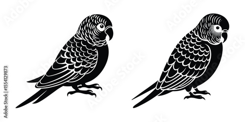 Budgie Preening Feathers Flat Silhouette on White Background