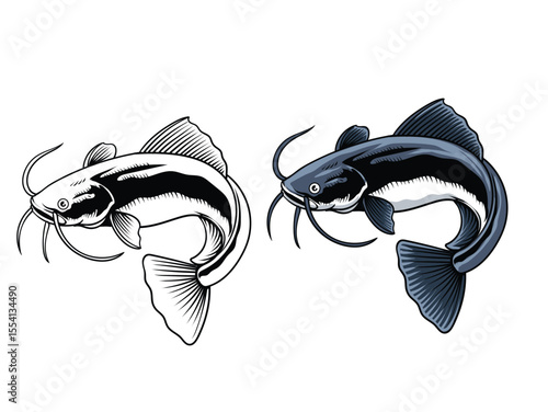 Hand Drawn Illustration of Catfish Isolated with black and white version