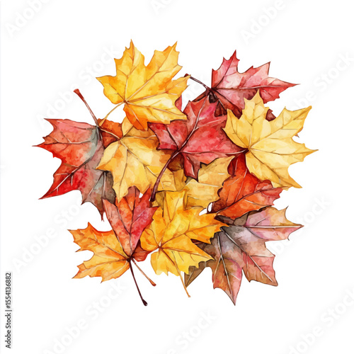 Autumn Leaves Forest Floor, watercolor vector, isolated on a white background.