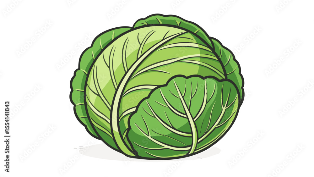 Fototapeta premium Cabbage Icon – Flat Vector Illustration