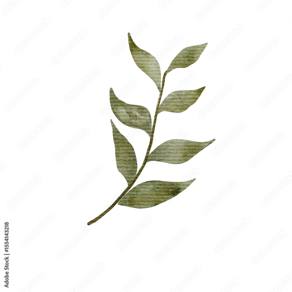 Fototapeta premium Watercolor Leaf