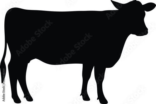 Cow silhouette, Black cow silhouette, animal silhouette