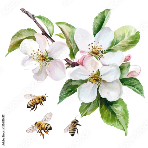 Apple Blossoms Buzzing Bees, watercolor vector, isolated on a white background.