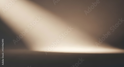 Soft, diffused spotlight illuminates a muted studio backdrop.