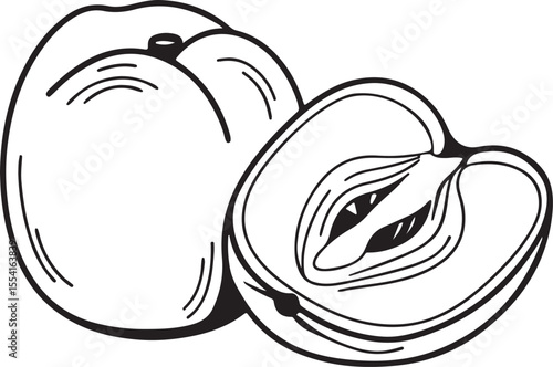 jujube--ber--with-white-background 