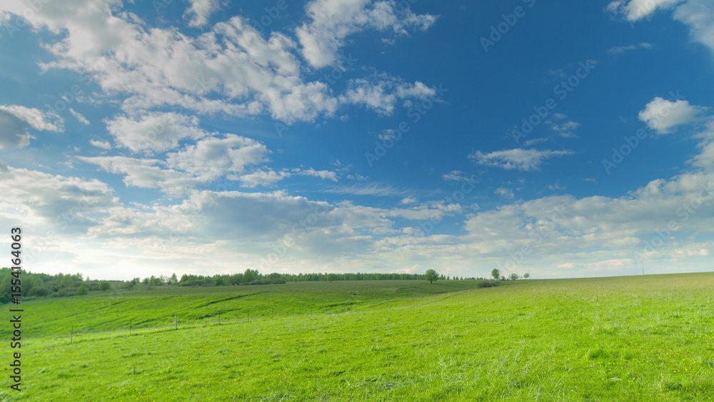 Obraz premium An Expansive Green Meadow Lies Beneath a Beautiful Bright Blue Sky Filled with Fluffy Clouds Time lapse.