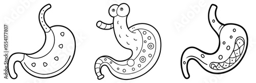 Stomach Organ Vector Set: Digestive System, Anatomy, Ulcer, Health, Medical Line Icon