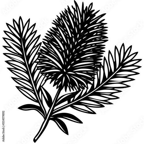 Black and white illustration of a pine cone with needles and leaves