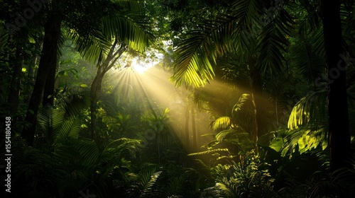 Fototapeta Naklejka Na Ścianę i Meble -  Sunlight Streams Through Lush Greenery Within a Tropical Forest Scene