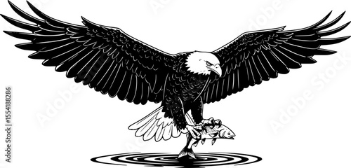 eagle, majestic bird, spreading wings, perched on rock, dynamic pose, monochrome, detailed illustration
