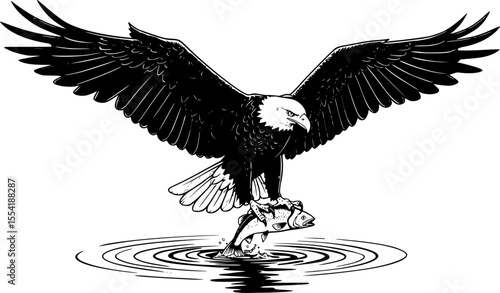 eagle, majestic bird, spreading wings, perched on rock, dynamic pose, monochrome, detailed illustration
