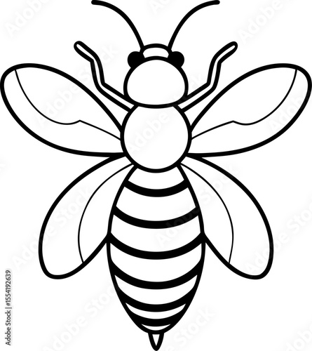 Detailed Black and White Line Art of a Honey Bee With Striped Abdomen and Delicate Wings Displayed Wide Open