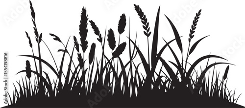 
Black Silhouettes of Various Grasses and Reeds