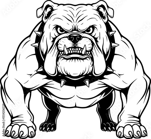 an aggressive bulldog with a threatening expression, black and white vector illustration