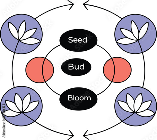 Flower types evolve through a reaction-style diagram