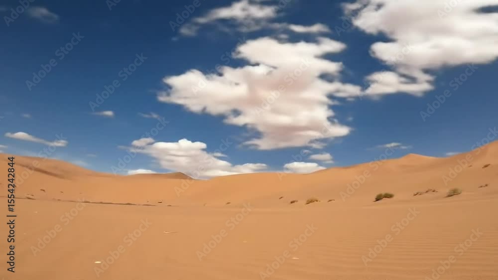 the beauty of the desert the beauty of the desert