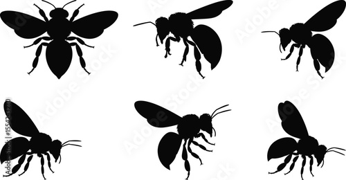 Bee silhouette vector set with realistic flying and sitting honey bee for nature and wildlife design