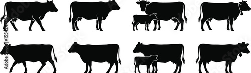 Cow and calf silhouette vector set with standing, grazing, and walking cattle for farm, agriculture, and animal design