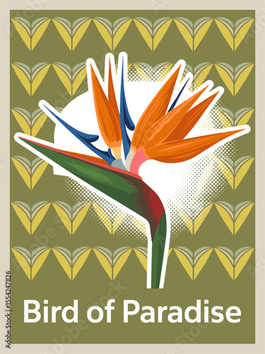 Retro poster with a bird of paradise exotic tropical flower mid century modern green background. vector art illustration