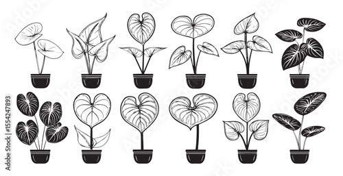 Collection of potted houseplants with detailed leaf patterns silhouette