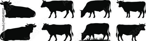 Cow and calf silhouette vector set with standing, grazing, and walking cattle for farm, animal, and rural design