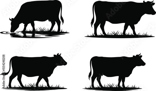 Cow silhouette vector collection with drinking, grazing, and walking cattle for farm, agriculture, and animal design