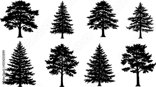black silhouettes of various types of evergreen trees, coniferous trees, pines, firs, cedars, spruces, graphic vector