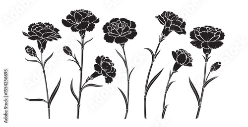 Collection of elegant carnation flower silhouettes with buds and leaves