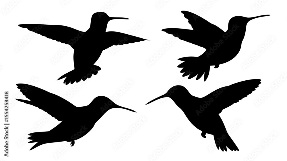 Obraz premium humming bird silhouette vector illustration on tranparent background