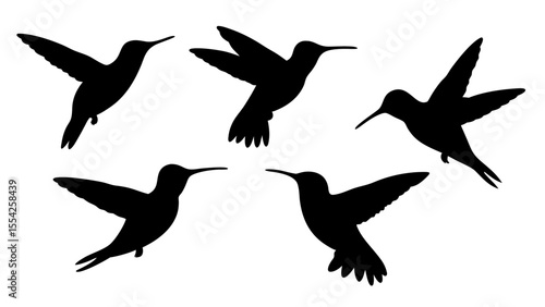 humming bird silhouette vector illustration on tranparent background
