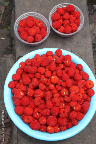 Rubus rosifolius (Rubus rosaefolius), also known as roseleaf bramble, Mauritius raspberry, thimbleberry, Vanuatu raspberry and bramble of the Cape. Red berries in China. Tibetan strawberry raspberry