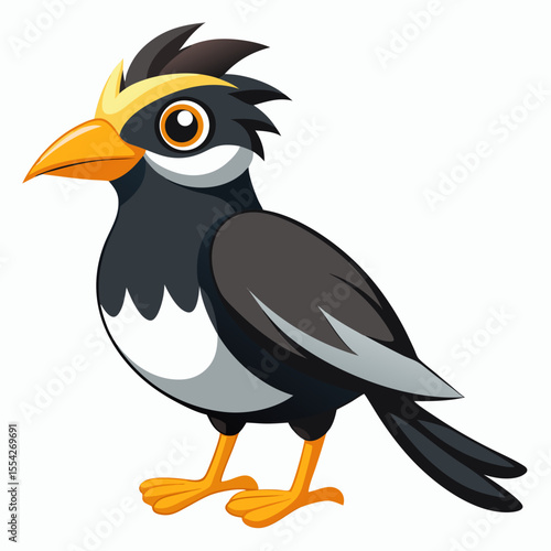 Myna bird