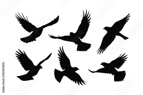 Soaring Freedom: Silhouetted figures of birds taking flight, illustrating the essence of freedom and natural movement.