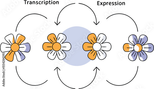Diagram of animated-style flowers rotating in double helices, labeled with kinetics icons