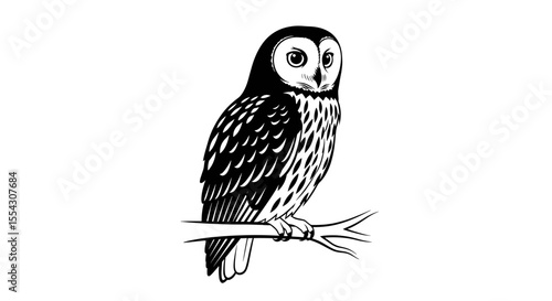 Black and White Illustration of an Owl Perched Gracefully on a Branch with Detailed Features