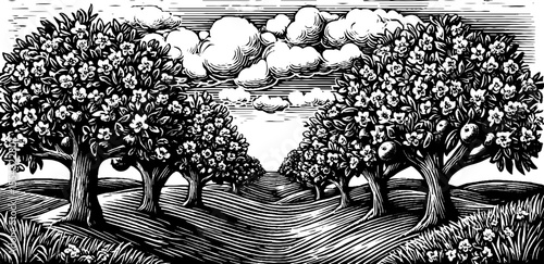 Apple orchard in full bloom black and white woodcut design for decor and art