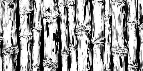 Seamless bamboo stalk pattern in black and white for design
