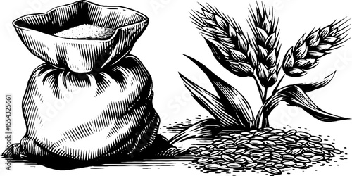 Rustic grain sack with wheat ears and flour illustration for packaging design