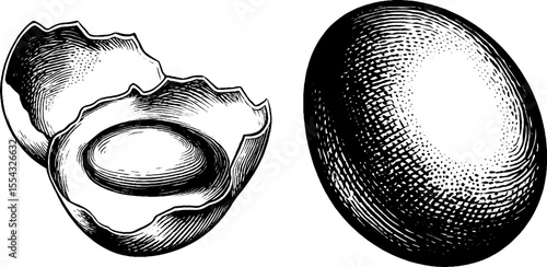 Vintage hand drawn sketch of broken egg shell and yolk with shadow