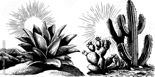 Desert cactus silhouettes and dunes in vintage hand drawn style for design