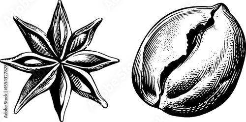 Hand-drawn chocolate truffle with cocoa dust and bite illustration for confectionery design