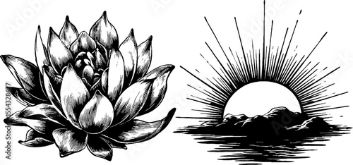 Crown chakra and thousand petal lotus illustration for spiritual and wellness design