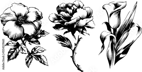 Vintage embroidered flower design set for folk art and craft projects