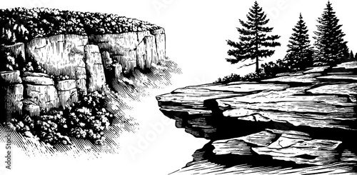 Fog shrouded cliff with twisted pine and rugged landscape illustration for nature design