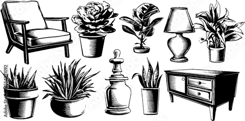 Vintage furniture and botanical elements for interior design projects