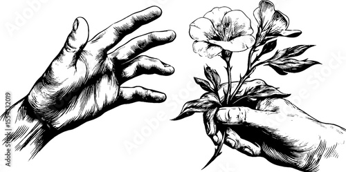 Vintage hand drawn sketch of hands and flowers for retro design