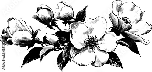 Vintage floral arrangement with hand drawn flowers for design and decoration